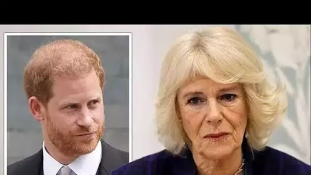 La reine Camilla "ne mérite pas cette attaque vicieuse" - Harry honteux pour ses commentaires "mécha