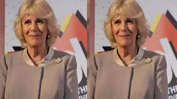 'Moins que chaud!' Les États-Unis réagissent au fait que Camilla devienne reine consort alors que la