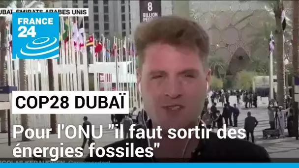 Sommet de la COP28 à Dubaï : "il faut sortir des énergies fossiles" selon l'ONU • FRANCE 24