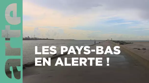 Trop et pas assez d'eau aux Pays-Bas | ARTE