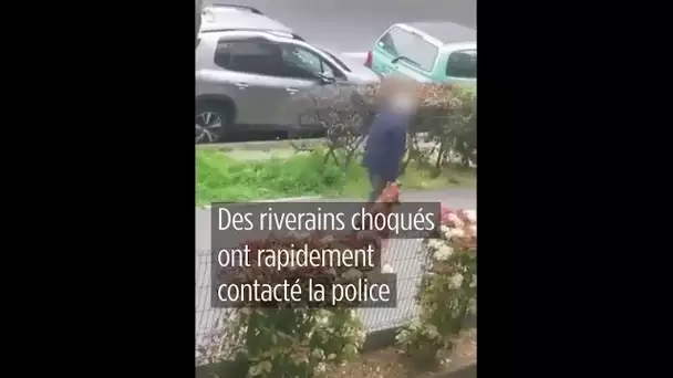 Argenteuil : un homme étrangle son chien dans la rue