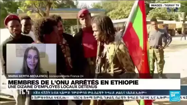 Une dizaine d'employés locaux de l'ONU détenus en Éthiopie • FRANCE 24