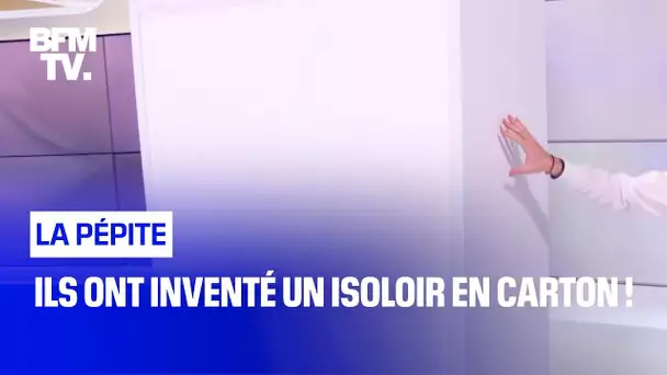 Ils ont inventé un isoloir en carton !