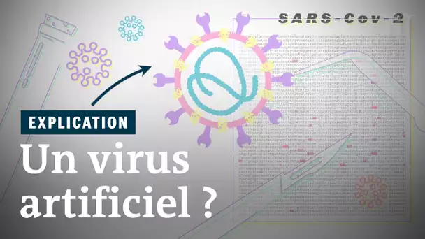 Le coronavirus sort-il d’un laboratoire ? Ép. 1 : la thèse du virus artificiel