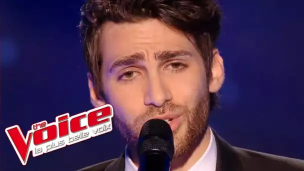 Christophe – Les Mots bleus | Lukas K. Abdul | The Voice France 2016 | Blind Audition