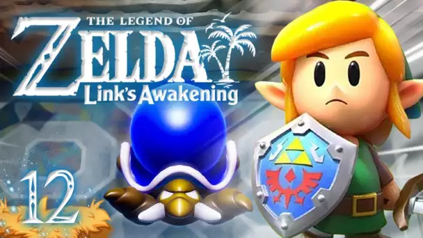 Zelda Link's Awakening HD : Temple des couleurs ! #12
