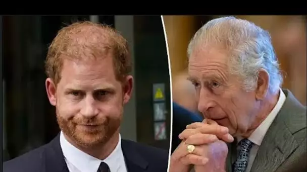 Le prince Harry brise le silence face aux réactions négatives du site Web et dit aux critiques de «