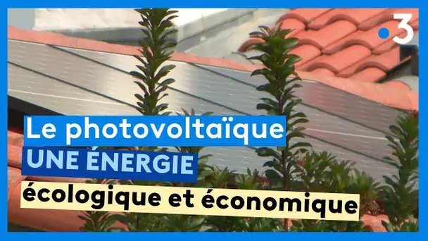 Photovoltaïque : une énergie de plus en plus rentable