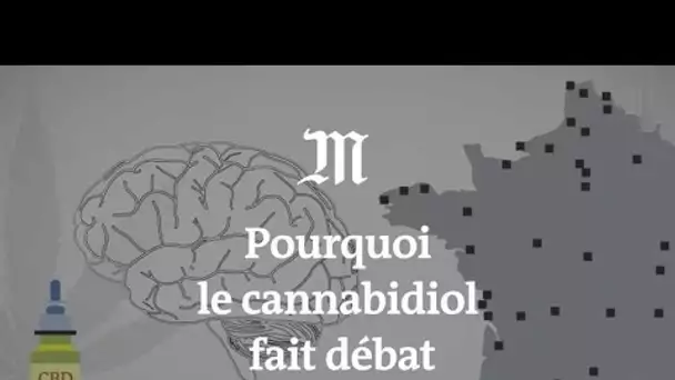 CBD : faut-il lutter contre le cannabidiol ?