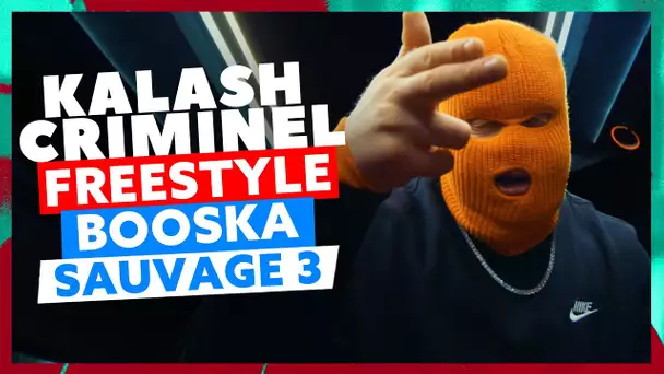 Kalash Criminel l Freestyle Booska Sauvage 3