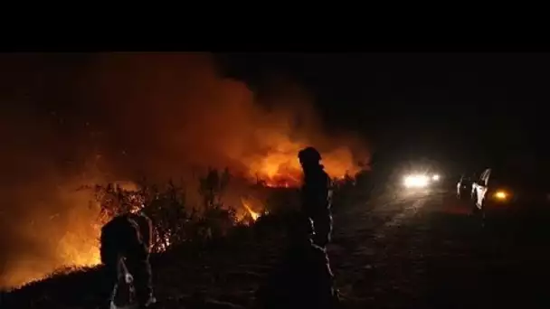 La région du Pantanal au Brésil en proie à des incendies hors de contrôle