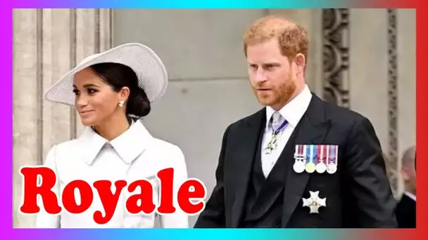 ''Nous savons ce qui se passe'' Netflix exhorté à débr@ncher l'accord de Harry et Meghan