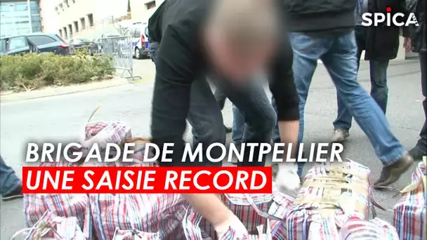 Saisie record pour la brigade de Montpellier