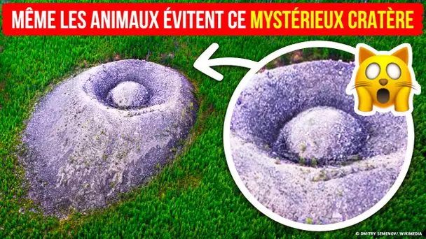 Dans les bois : Attention à cet objet mystérieux !