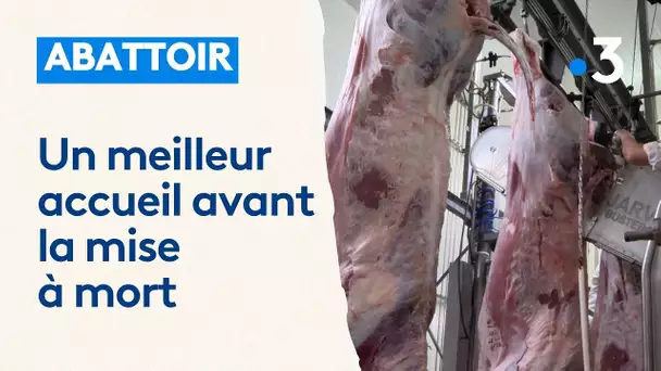 Extension d'un abattoir pour améliorer les conditions d'accueil des animaux avant leur mise à mort