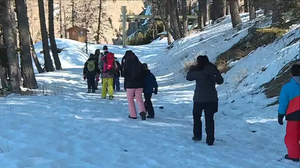 Mesures anti covid. La station de ski de Montclar s'adapte pour un Noël sans remontées mécaniques