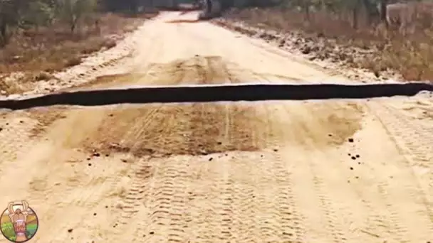 Si vous voyez ceci sur une route... Courrez et demandez de l'aide !