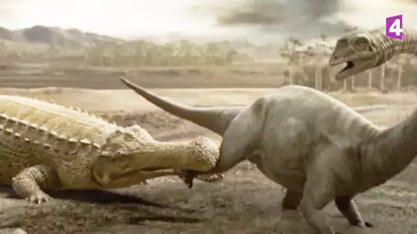 Paralititan VS sarcosuchus (dinosaures) - ZAPPING SAUVAGE