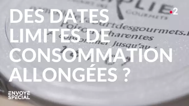 Envoyé spécial. Des dates limites de consommation rallongées ? - 5 septembre 2019 (France 2)