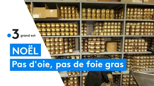 En Lorraine aussi on produit du foie gras et la pénurie s'y fera sentir aussi