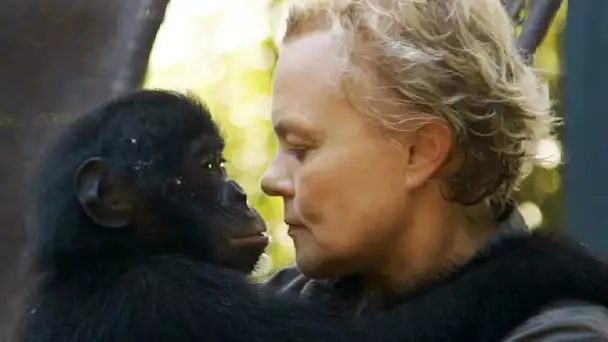 Muriel Robin adopte un petit bonobo - ZAPPING SAUVAGE