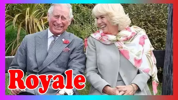 'Merci!' Les fans royaux félicitent Charles et Camilla pour une année d'eng@gements ''infatigables''