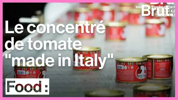 La réalité cachée derrière le concentré de tomate 'made in Italy'