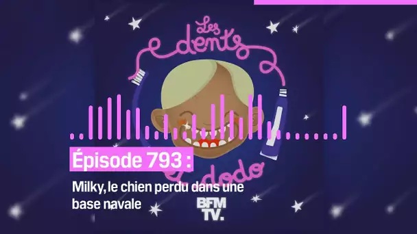 Les dents et dodo - “Épisode 793 : Milky, le chien perdu dans une base navale”