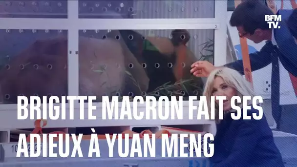 Brigitte Macron fait ses adieux au panda Yuan Meng avant son départ pour la Chine