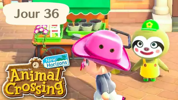Jour 36 | Mise à Jour : Evénement de la Terre | Animal Crossing : New Horizons