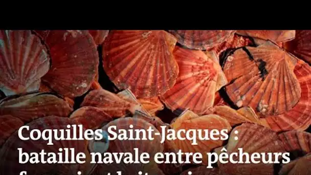 D'où vient la guerre de la coquille Saint-Jacques ?