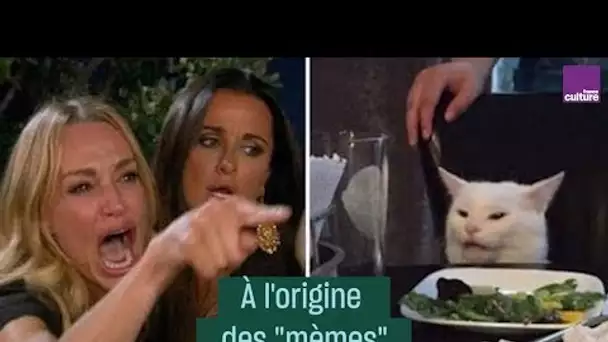 À l'origine des "mèmes" #CulturePrime
