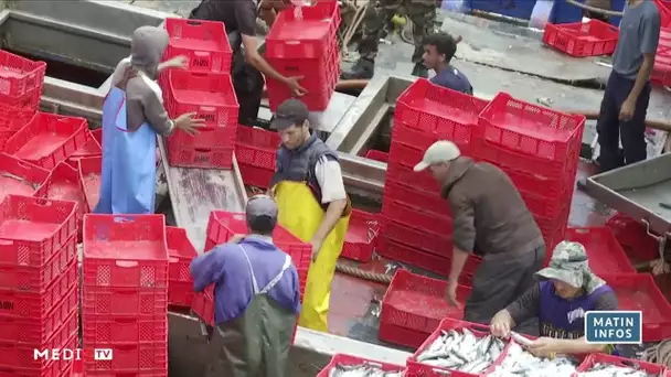 Agadir : le secteur de la pêche, 2ème pourvoyeur d´emplois