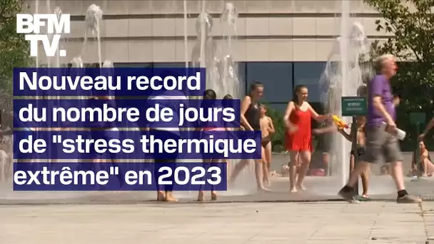 En 2023, l'Europe a connu un nombre record de jours de "stress thermique extrême"