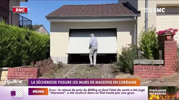 En Lorraine, la sécheresse fissure les murs des maisons