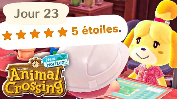 Jour 23 | Les 5 Étoiles⭐ pour mon Île | Animal Crossing : New Horizons