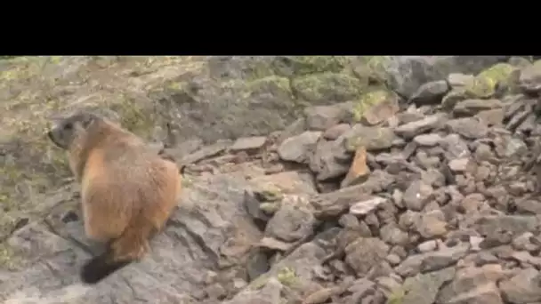 MEDITERRANEO – En France, malgré la Covid-19, les touristes se sont tournés vers la montagne cet été