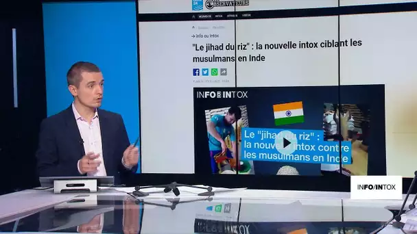 "Jihad du riz" : une infox qui alimente la haine des musulmans indiens • FRANCE 24