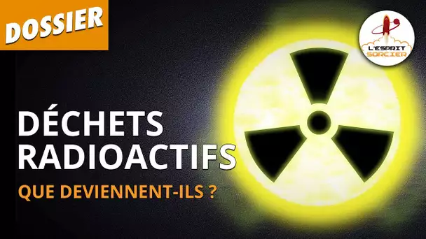 QUE DEVIENNENT NOS DÉCHETS RADIOACTIFS ? - L'Esprit Sorcier