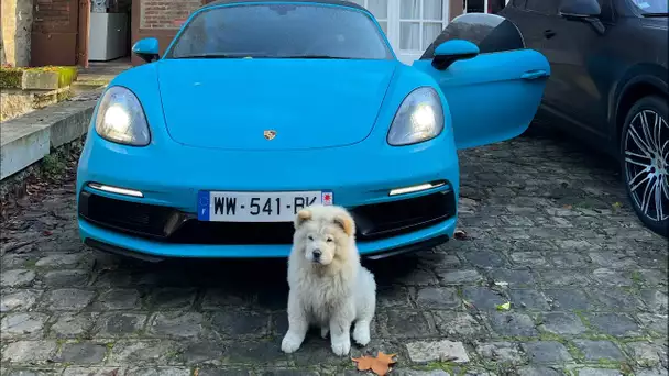 Mon chien mange le par choc de ma Porsche !