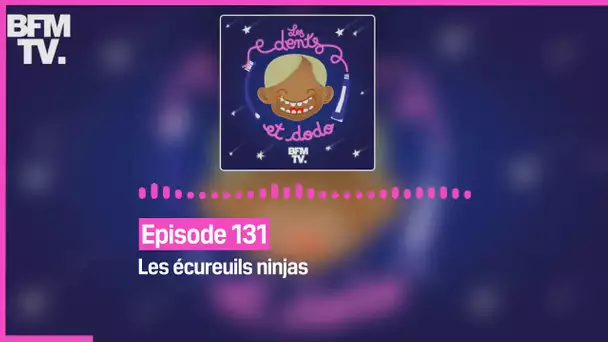 Episode 131 : Les écureuils ninjas - Les dents et dodo
