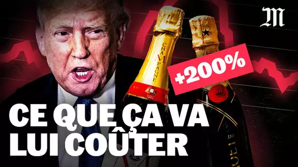 Trump : pourquoi sa guerre commerciale serait "la plus stupide de l’histoire"