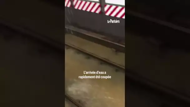 New York : la station de métro Times Square sous l'eau après une rupture de canalisation