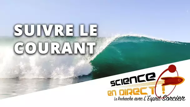 Comment se forment les courants marins ? - Science En Direct