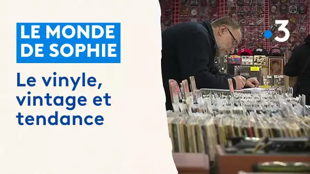 Le vinyle, vintage et tendance chez un disquaire de l'Oise