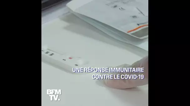 Comment se déroulent les tests sérologiques rapides en pharmacie ?