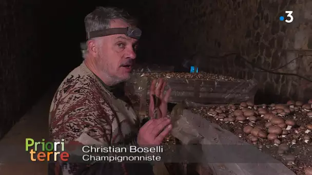 PrioriTerre au Tignet (06) : Christian Boselli un champignonniste conquis par le Shii Také