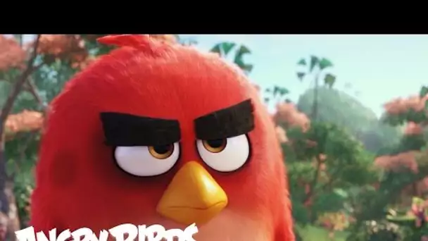 Angry Birds - Bande-annonce Teaser  officielle - VF