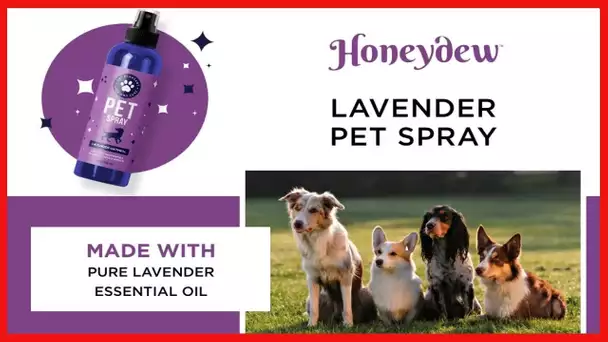 Lavender Oil Dog Deodorizing Spray - Dog Spray for Smelly Dogs and Puppies and Dog Calming Spray