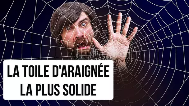 Et si tu étais pris dans la plus grande toile d'araignée du monde ?